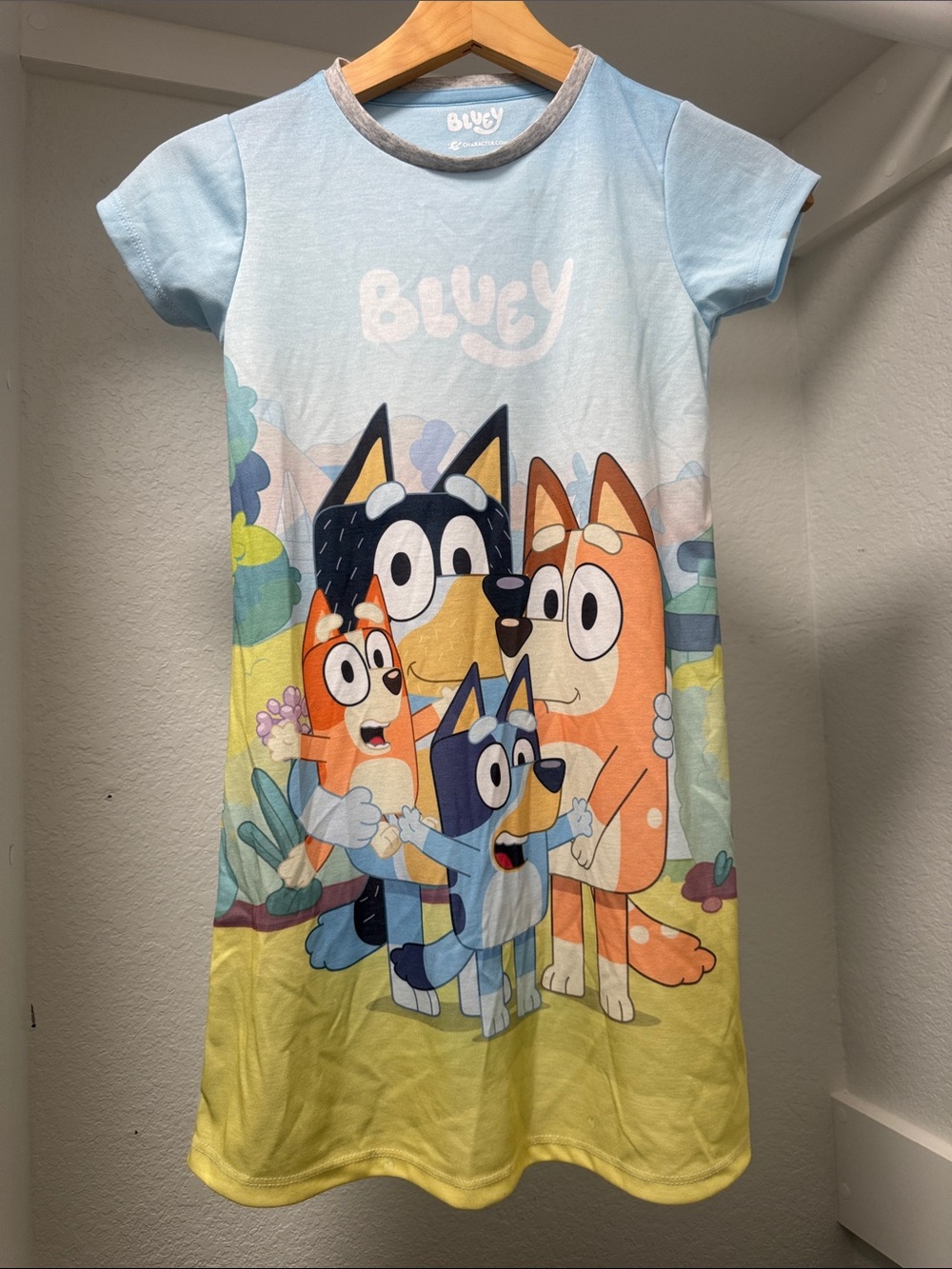 Bluey nightgown